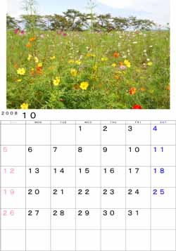 ２００８年10月のカレンダー・・・大崎市松山御本丸公園、青空に色とりどりのコスモスの花が映えています。