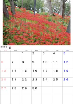 ２００９年９月のカレンダー・・・大崎市古川羽黒山公園で咲き誇る彼岸花です。