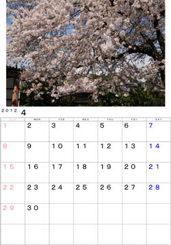 ２０１２年４月のカレンダー・・・奥州市江刺区岩谷堂松岩寺の桜。