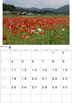 ２０１２年６月のカレンダー・・・江刺区伊手地区の休耕田に咲き誇るポピー。