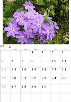 2016年6月のカレンダー・・・庭先で咲き誇るクレマチス。
