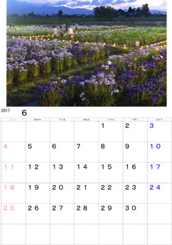 2017年6月のカレンダー・・・胆沢城址公園で阿山ライトアップの場面です。