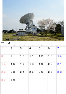2018年4月のカレンダー・・・奥州市にある直径２０ｍ電波望遠鏡です。側には小さいのですが、サクラが満開でした。