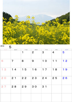 2018年5月のカレンダー・・・雫石町菜の花畑からの岩手山遠望です。ローアングルの葉の花と岩手山のコラボです。