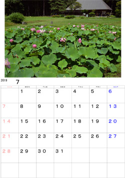 2019年7月のカレンダー・・・北上市岩沢地区多聞院庭園の古代ハスです。清楚なハスの花に惹かれ毎年訪れています。