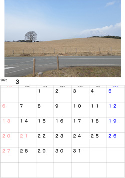 2022年3月のカレンダー・・・小岩井農場一本桜と岩手山。まだ三月です駐車場の隅には残雪がありました。