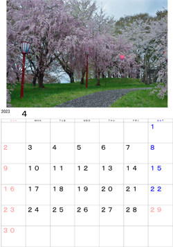 2023年4月のカレンダー・・・岩谷堂地区にあるかつての館山城広場のサクラ並木です。