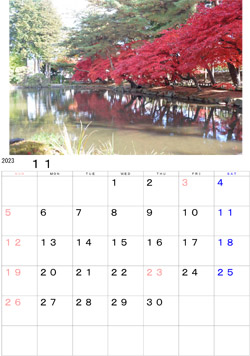 2023年11月のカレンダー・・・盛岡市中央公民館中庭の池のほとりの紅葉です。