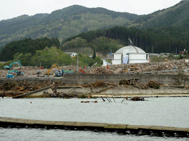 大津波に被災し唯一流されなかった鯨と海の科学館。・・・現在はがれきの収容場所になっていました。