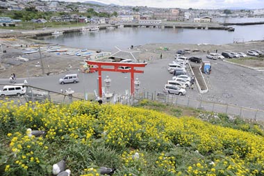 蕪島の上から南側を見下ろす 1