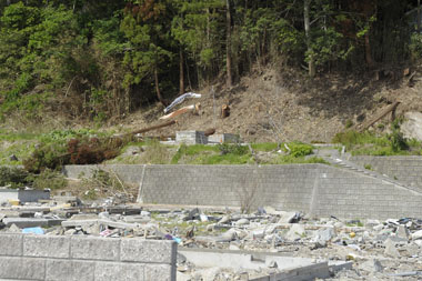 田ノ浜集落 10・・・風にはためく可愛いコイノボリ。