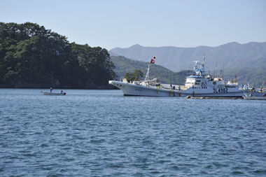 大浦漁港　７・・・カツオ船でしょうか、生け簀から生き餌を積み込んでいました。
