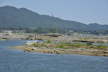 しおさい橋から見た古河沼 3