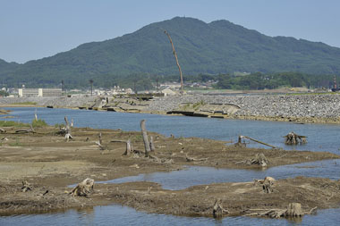 しおさい橋から見た古河沼 4