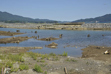 しおさい橋から見た古河沼 5