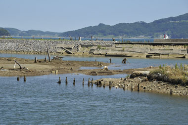 しおさい橋から見た古河沼 6