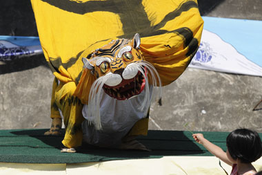 只越虎舞 7・・・舞台の上落ちている笹竹の枝を手にし、虎の鼻先に突き出しています。