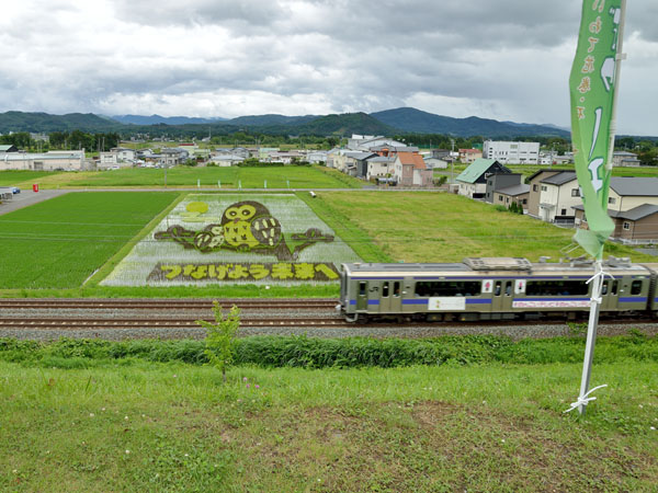 田んぼアートと通過する列車