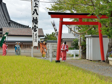 八幡神社境内に入る 1