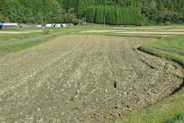 骨寺村荘園跡
