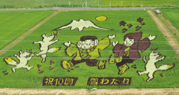 JR東北線の東側に拡がる田んぼ