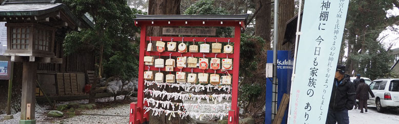 �{�a�ɂȂ���ʘH