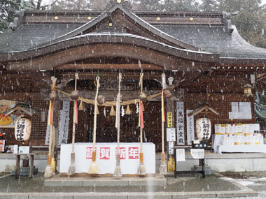 �{�a�̊g��