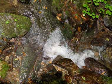 第１流入口　３・・かなりの水量が勢いよく岩の割れ目に吸い込まれています。