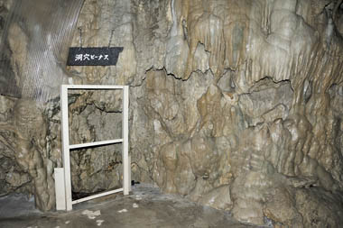 洞穴ビーナス