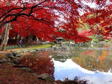 盛岡旧南部藩主別邸の池と紅葉。