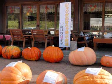 ジャンボかぼちゃ展示会・・・遠野市風の丘（道の駅）で見たジャンボかぼちゃです。
