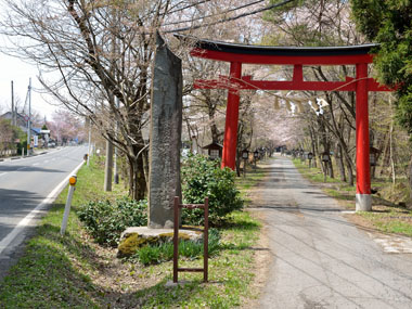 「於呂閇志神社」に向かう一の鳥居とその奥の桜並木の様子です。