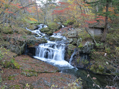 紅葉に彩られた小黒滝全景です