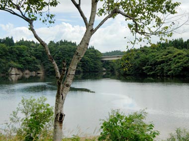 ダム上流と和賀橋