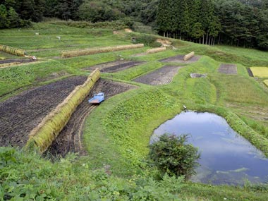 農業用水のため池です
