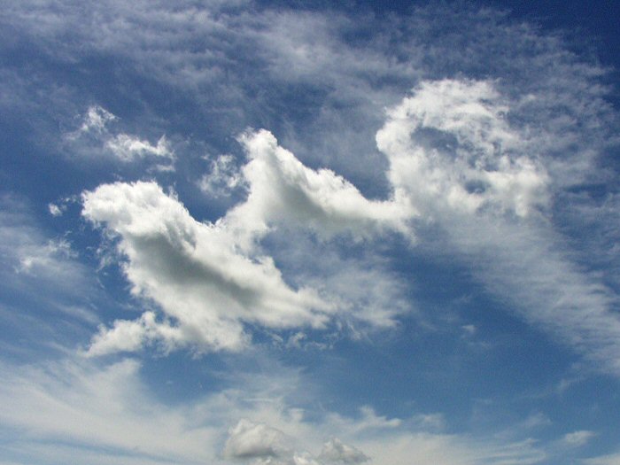 大空に羽ばたいているような雲