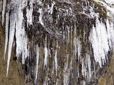 例年巨大な氷柱のつく岩盤の場所ですが、今年は小さなたろしと沢水の流れでした。