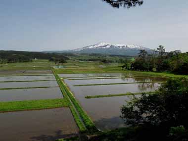 駒留島から望む　４・・・東側から見た様子で、昔ながらの水路と田んぼ、そして鳥海山が見えています。