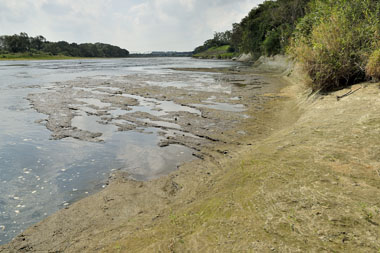 9月11日の合流点上流泥岩層 2
