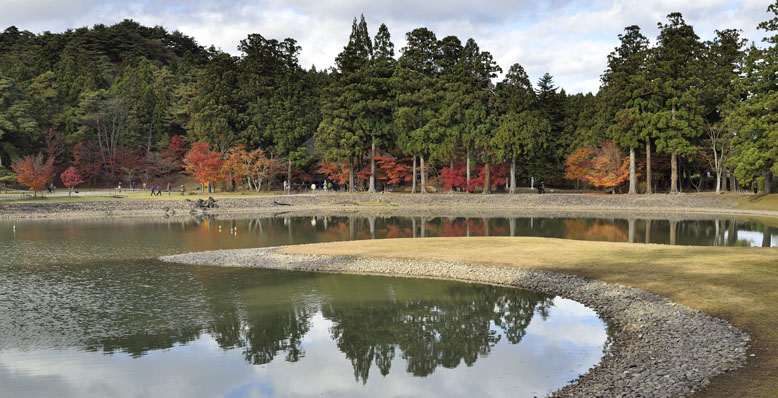 大泉が池東端にある「州浜」と対岸の常行堂周辺の紅葉水鏡。