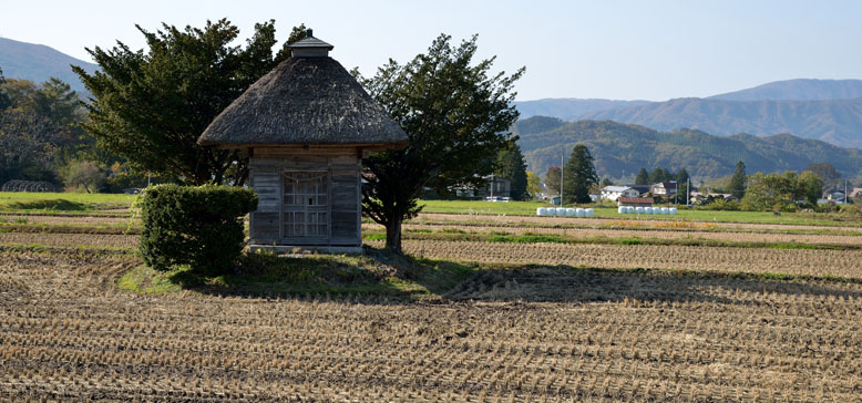 荒神社周辺では残った稲株がきれいに見えています。