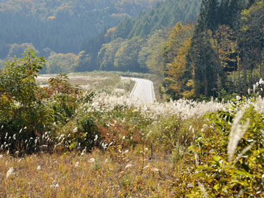 溜め池のある風景 1