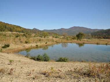 溜め池のある風景 6