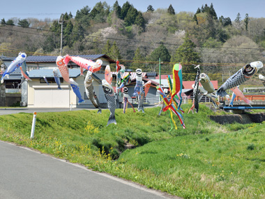 梁川地区こいのぼり 01