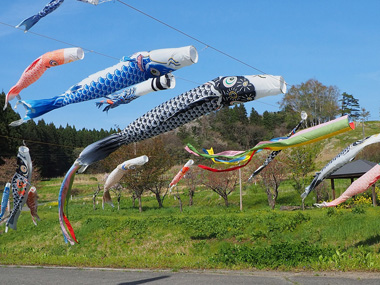 梁川地区こいのぼり 05