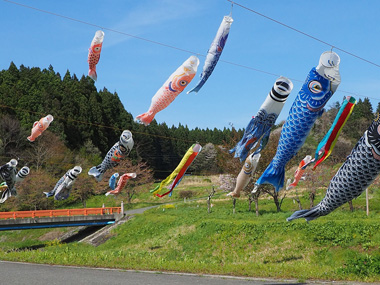 梁川地区こいのぼり 06
