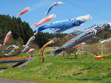 梁川地区こいのぼり 08