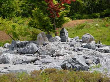 岩石園　１・・石灰岩が積まれて整備されています。
