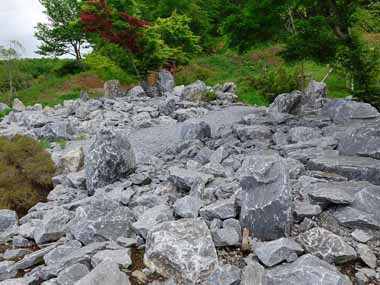 岩石園　２・・ごろごろとある岩石が石灰岩です。