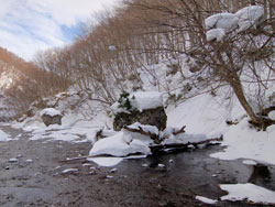 冬の葛丸渓流　２